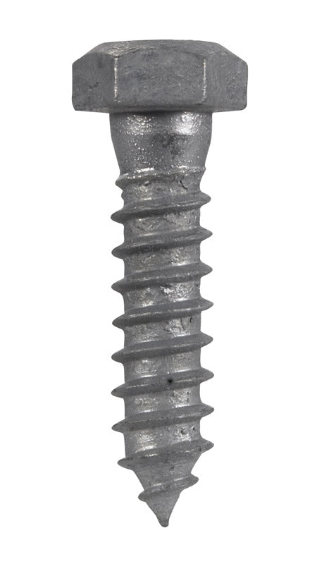 Hillman 1/2 in. x 2 in. L Hex Lag Screw