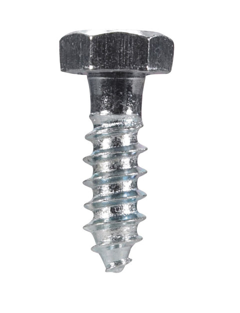 Hillman 5/16 in. x 1 in. L Hex Lag Screw