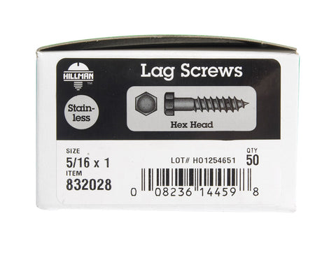 Hillman 5/16 in. x 1 in. L Hex Lag Screw