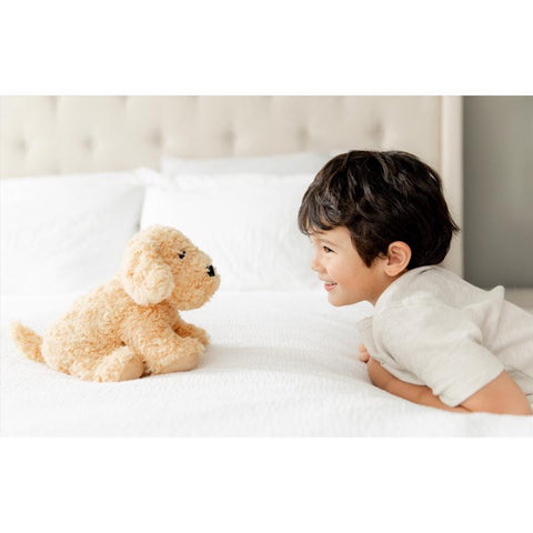 Warmies Stuffed Animals Brown
