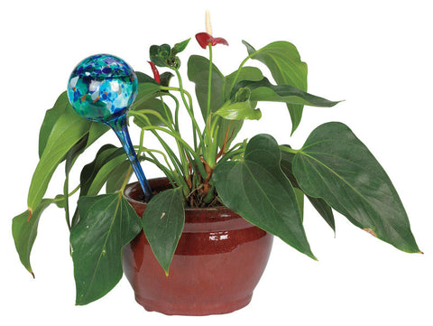 Aqua Globe As Seen On TV Assorted Glass Aqua Globe
