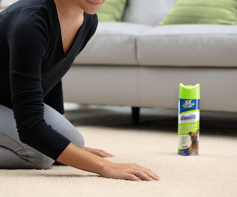 Bissell 0820 Carpet Cleaner, 22 oz, Can, Foam, Characteristic