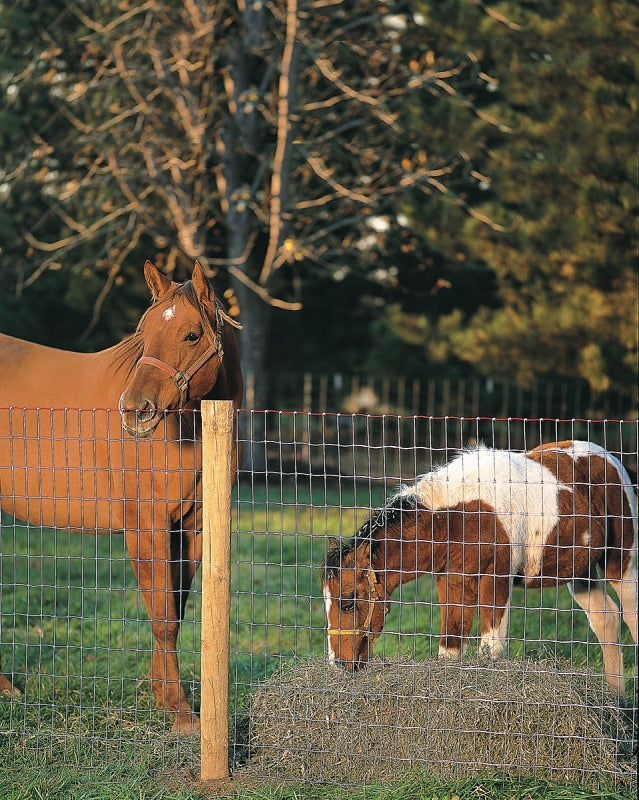 Red Brand Square Deal Tradition 70310 Horse Fence, 100 ft L, 48 in H ...