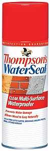 Thompson's WaterSeal TH.10100-18 Waterproofer, Clear, 12 oz, Aerosol Can