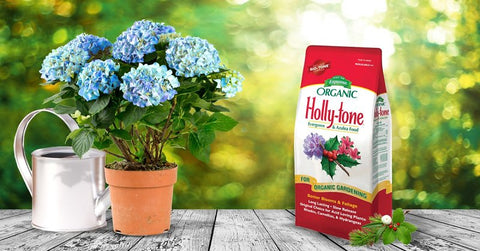 holly tone plant fertilizer Espoma HT8 Holly-tone Plant Food, 8 lb