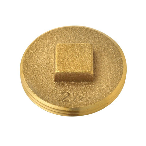 Oatey 42371 Cleanout Pipe Plug, 2-1/2 in, MNPT, Raised Head, Brass