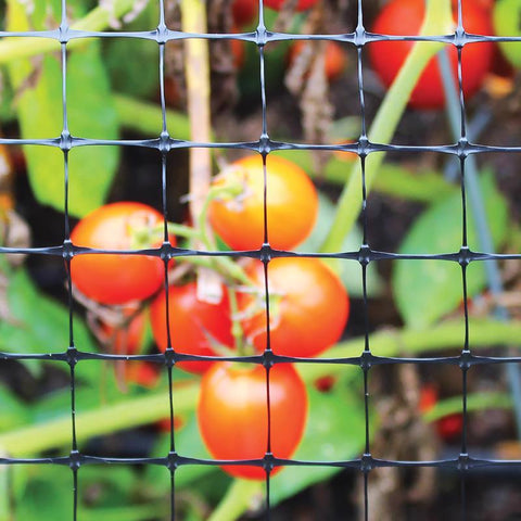 Garden Craft 24 in. H X 50 ft. L Plastic Fencing 1 in. X 1 in. in.
