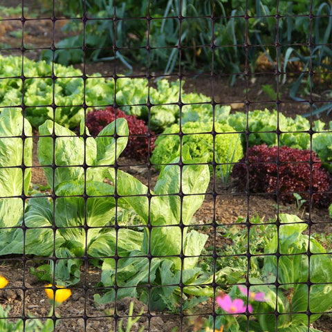 Garden Craft 36 in. H X 50 ft. L Plastic Fencing 1 in. X 1 in. in.