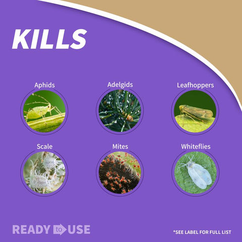 Bonide 112 Insecticidal Soap, Liquid, Spray Application, 8 to 12 oz