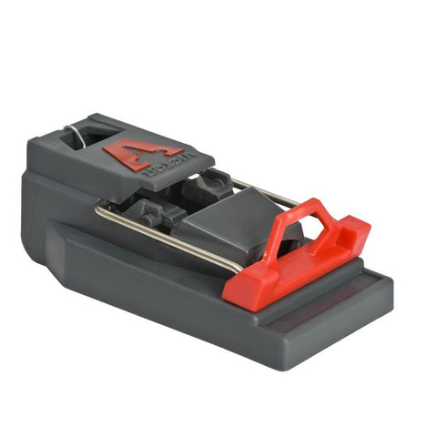 Victor Quick-Kill Small Snap Trap For Mice 1 pk, Pack of 6