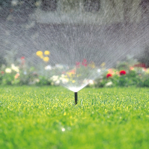 Toro 54822 Pressure Regulated Sprinkler Pop-Up Body, 1/2 in Connection, FNPT, 6 in H Pop-Up, Plastic