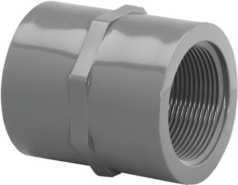 Lasco 830020BC Pipe Coupling, 2 in, FIP, PVC, SCH 80 Schedule