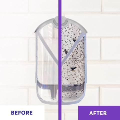 Zevo Value Pack Flying Insect Trap, Pack of 4