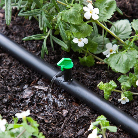 Raindrip Spot Drip Irrigation Dripper 2 gph 25 pk