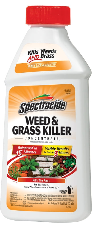 Spectracide HG-66001 Weed and Grass Killer, Liquid, Amber, 16 oz