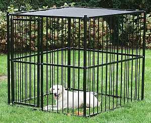 Stephens Pipe & Steel RSHBK11-13659 Dog Kennel with Sunblock Top, 5 ft OAL, 5 ft OAW, 5 ft OAH, Steel, Black