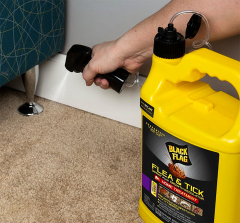 Black Flag HG-11093 Flea/Tick Killer, Liquid, 1 gal Can