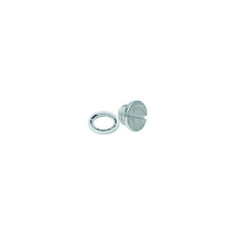 Quicksilver Non Magnetic Gear Case Drain Screw