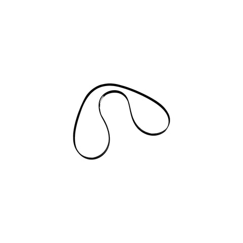 Serpentine Belt