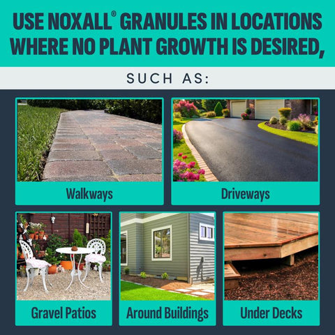 IMAGE 100502581 Noxall Vegetation Killer, Granular, Brown/White, 10 lb Bag