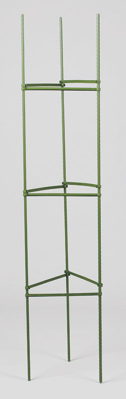 Gardener's Blue Ribbon Green Plastic Tomato Cage 60 in. H x 60 in. L x 60 in. W