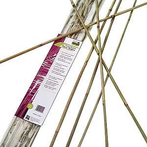 Gardener's Blue Ribbon BB6N Plant Stake, 6 ft L, Bamboo, Natural