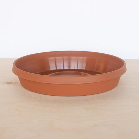 Bloem Terra 1.2 in. H X 5.5 in. W X 5.5 in. D X 5.5 in. D Resin Traditional Plant Saucer Terra Cotta