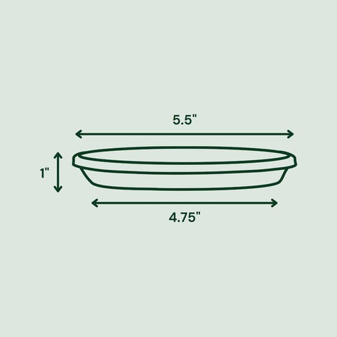 Bloem Terra 1.2 in. H X 5.5 in. W X 5.5 in. D X 5.5 in. D Resin Traditional Plant Saucer Terra Cotta