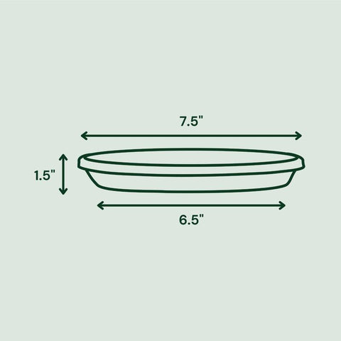 Bloem Terra 1.5 in. H X 8 in. D Resin Traditional Plant Saucer Terra Cotta