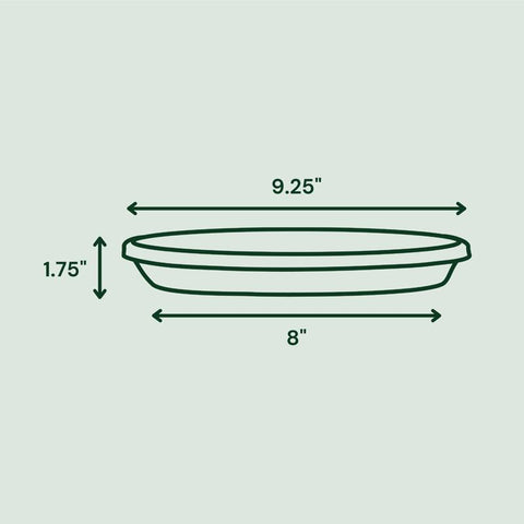 Bloem Terra 1.7 in. H X 10 in. D Resin Traditional Plant Saucer Terra Cotta