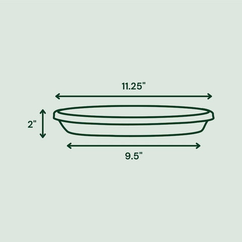 Bloem Terra 2 in. H X 11.25 in. W X 11.25 in. D X 12 in. D Resin Traditional Plant Saucer Terra Cott