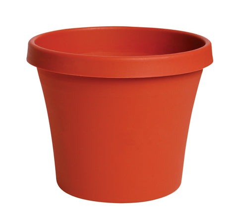 Bloem Terrapot Terracotta Clay Resin Traditional Planter 5.5 in. H x 6 in. W