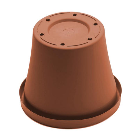Bloem Terra 5.5 in. H X 6.5 in. W Resin Traditional Planter Terracotta Clay