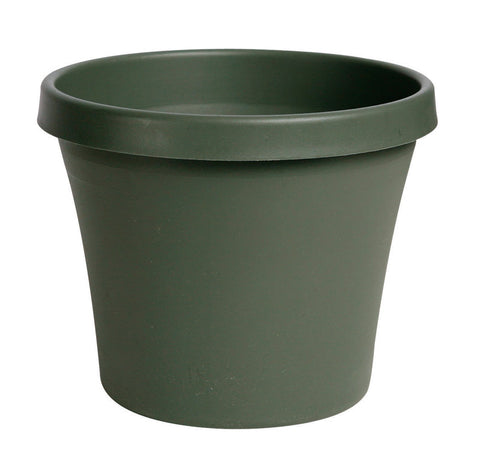 Bloem Terrapot Thyme Green Resin Traditional Planter 7 in. H x 8 in. W
