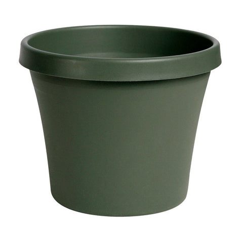 Bloem Terrapot Thyme Green Resin Traditional Planter 10.7 in. H x 12 in. W