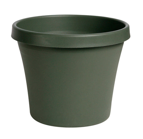 Bloem Terrapot Thyme Green Resin Traditional Planter 12.5 in. H x 14 in. W