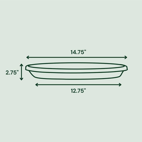 Bloem Terra 2.7 in. H X 14.75 in. W X 16 in. D Resin Traditional Plant Saucer Terra Cotta