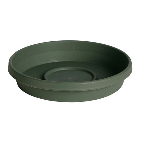 Bloem Terratray Thyme Green Resin Traditional Tray 2.5 in. H x 14 in. W