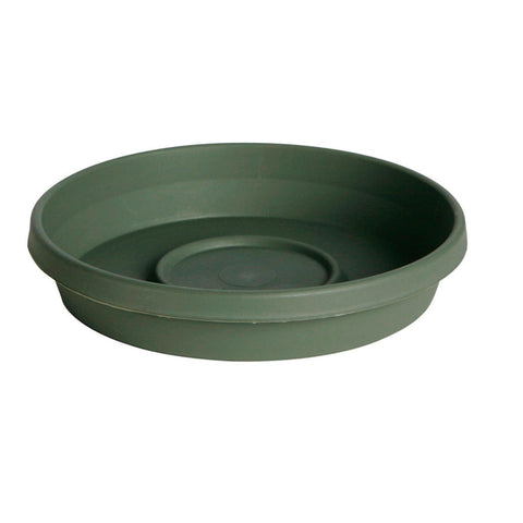 Bloem Terratray Thyme Green Resin Traditional Tray 2.7 in. H x 16 in. W