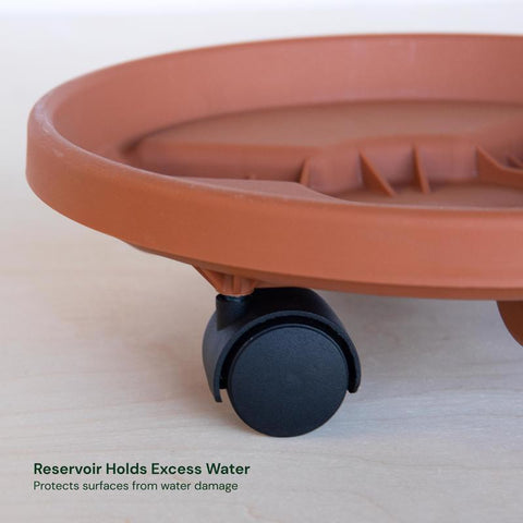 Bloem 3.6 in. H X 11.9 in. D Resin Classic Plant Caddy Terracotta Clay
