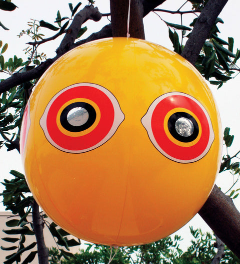 Bird-B-Gone Scare Balloon Balloon 0.02 sq. ft. 1