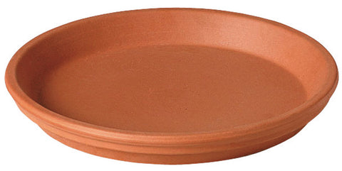 Deroma Terracotta Clay Traditional Plant Saucer 0.8 in. H x 4 in. W