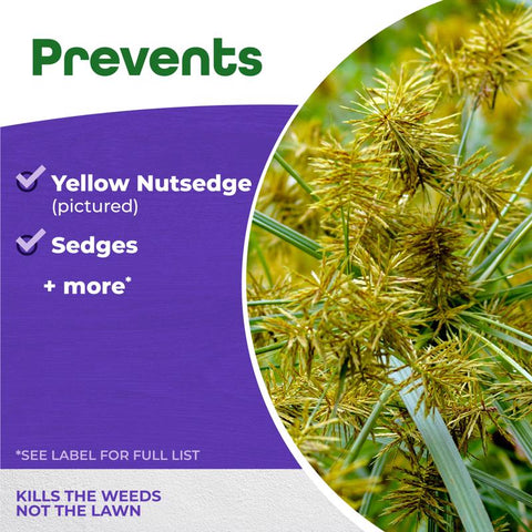 Bonide Sedge Ender Nutsedge Killer Concentrate 16 oz
