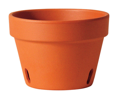 Deroma Terracotta Clay Orchid Planter 3.8 in. H x 5.1 L