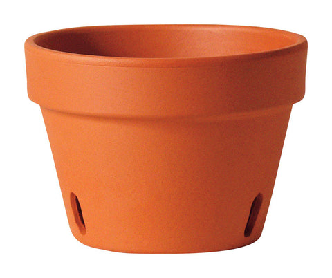 Deroma Terracotta Clay Orchid Planter 5.8 in. H x 8.3 in. W