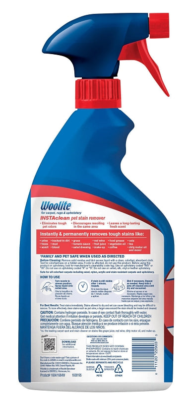 Woolite 1684 Pet Stain Remover, 22 oz