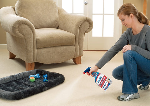 Woolite 1684 Pet Stain Remover, 22 oz