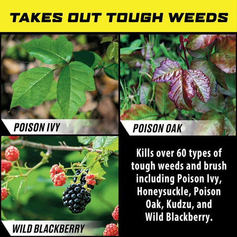Ortho GroundClear Poison Ivy Killer RTU Liquid 24 oz