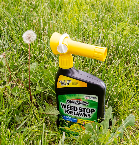 Spectracide HG-96541 Concentrate, Liquid, QuickFlip Spray Application, 32 fl-oz
