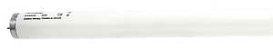 Sylvania 21371 Fluorescent Bulb, 40 W, T12 Lamp, Medium Lamp Base, 2150 Lumens, 4100 K Color Temp, Cool White Light, Pack of 15